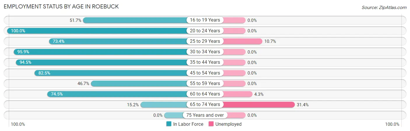 Employment Status by Age in Roebuck