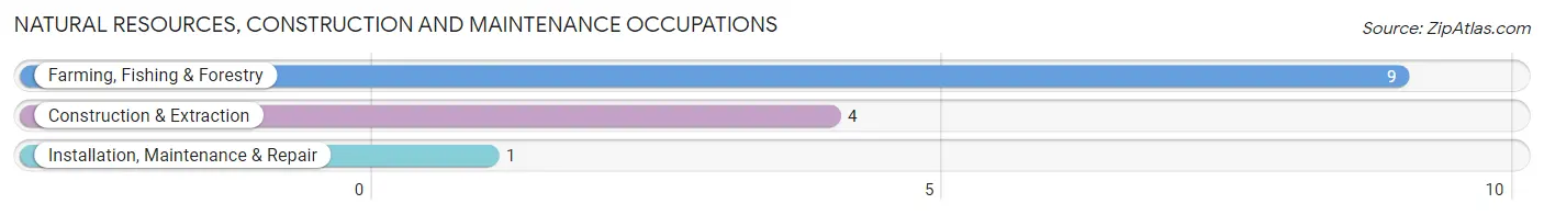 Natural Resources, Construction and Maintenance Occupations in Rowesville