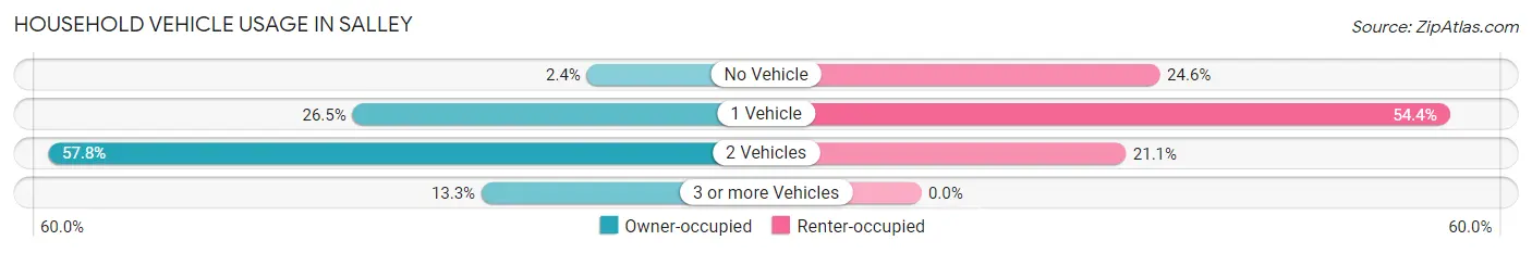 Household Vehicle Usage in Salley