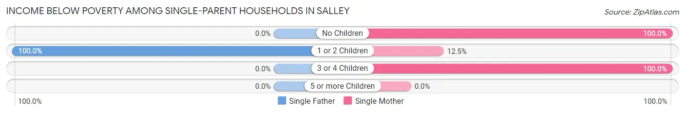 Income Below Poverty Among Single-Parent Households in Salley