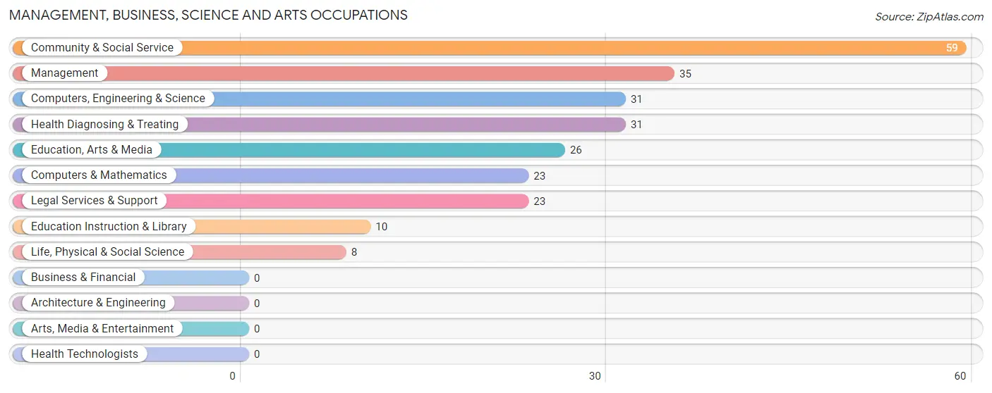 Management, Business, Science and Arts Occupations in Saxon