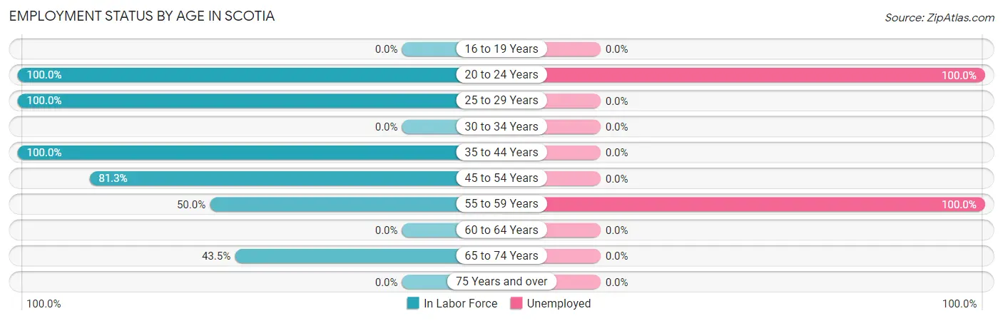 Employment Status by Age in Scotia