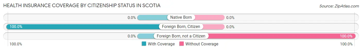 Health Insurance Coverage by Citizenship Status in Scotia
