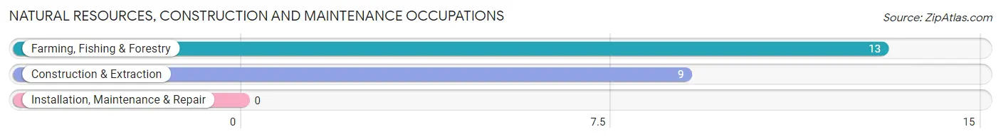 Natural Resources, Construction and Maintenance Occupations in Seabrook