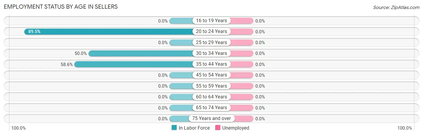 Employment Status by Age in Sellers