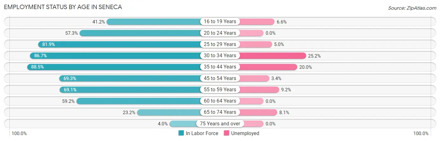 Employment Status by Age in Seneca