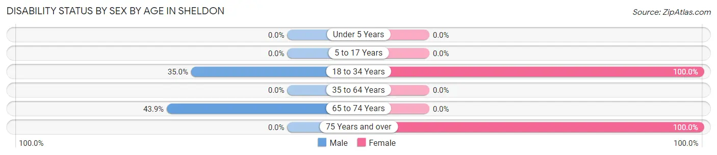 Disability Status by Sex by Age in Sheldon