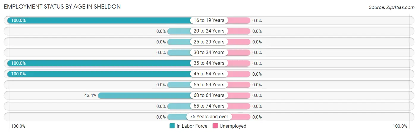 Employment Status by Age in Sheldon