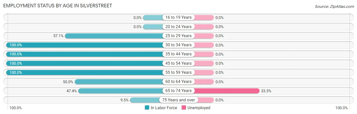 Employment Status by Age in Silverstreet