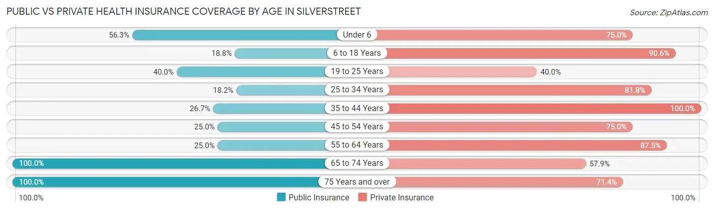 Public vs Private Health Insurance Coverage by Age in Silverstreet