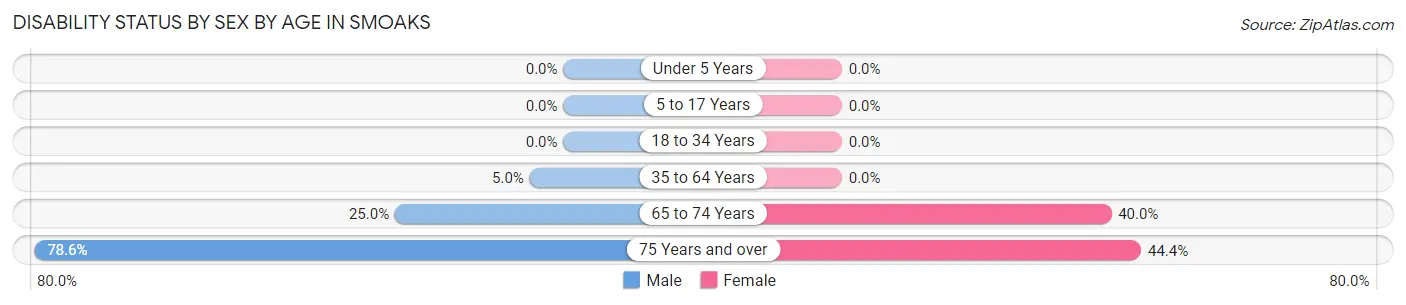 Disability Status by Sex by Age in Smoaks