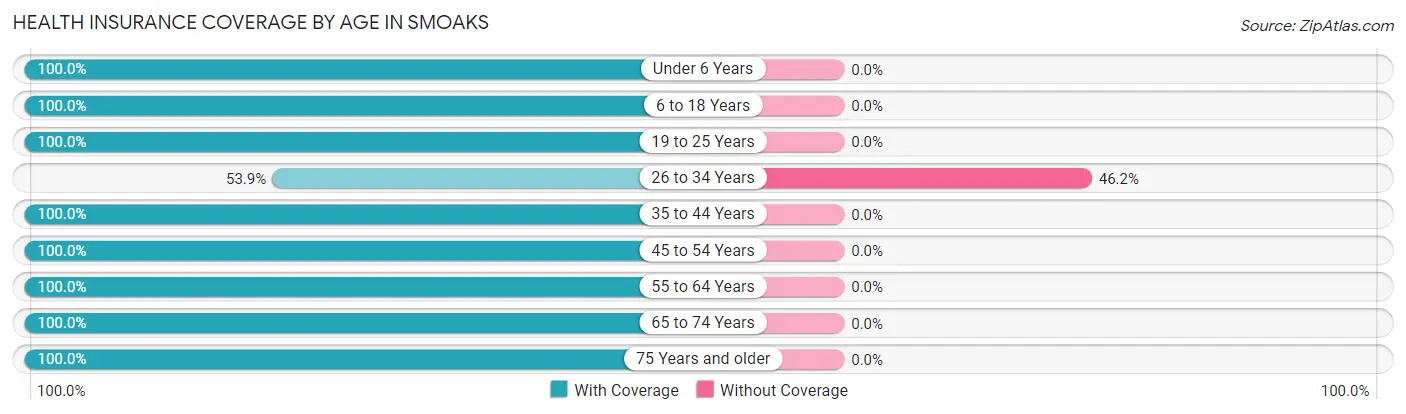 Health Insurance Coverage by Age in Smoaks