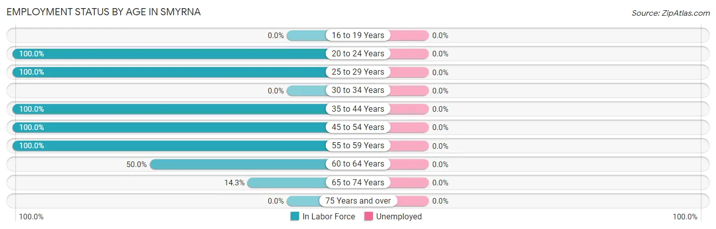 Employment Status by Age in Smyrna