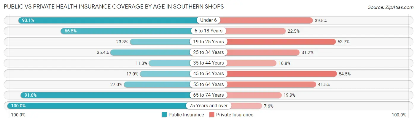 Public vs Private Health Insurance Coverage by Age in Southern Shops