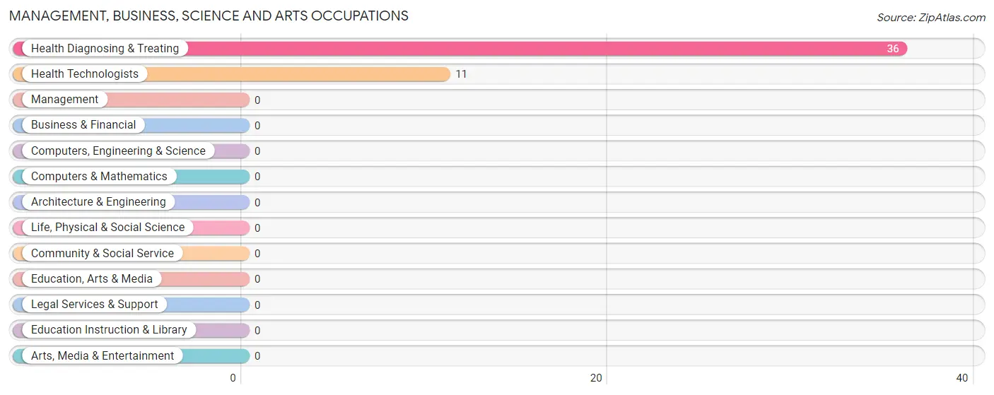 Management, Business, Science and Arts Occupations in Startex