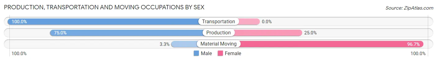 Production, Transportation and Moving Occupations by Sex in Surfside Beach