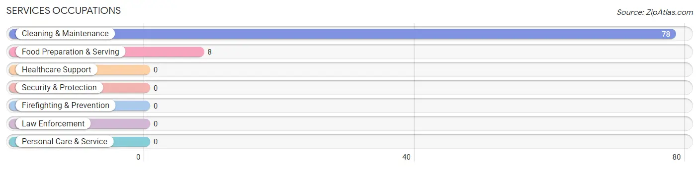 Services Occupations in The Cliffs Valley