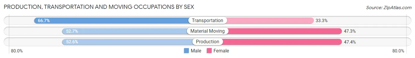 Production, Transportation and Moving Occupations by Sex in Travelers Rest