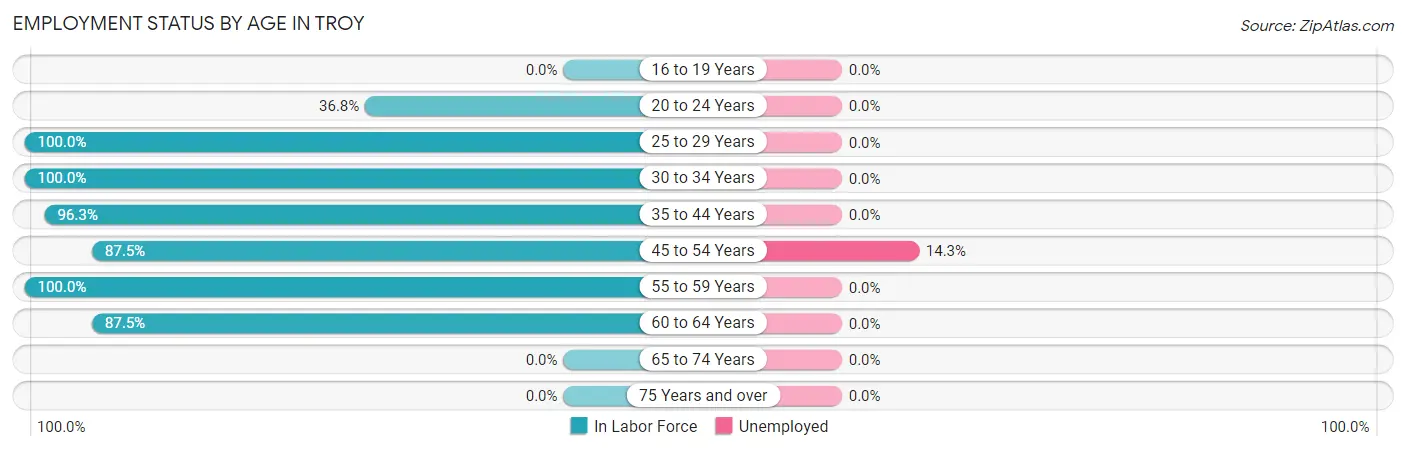 Employment Status by Age in Troy