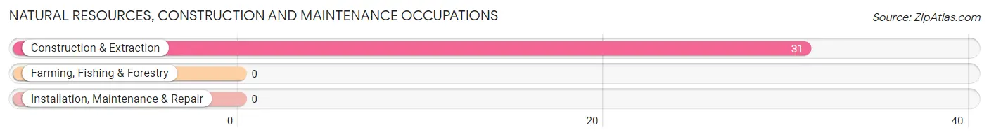 Natural Resources, Construction and Maintenance Occupations in Wallace