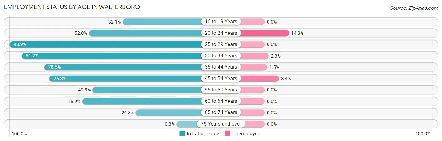 Employment Status by Age in Walterboro
