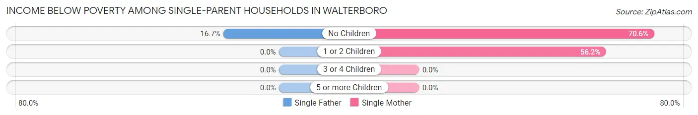 Income Below Poverty Among Single-Parent Households in Walterboro