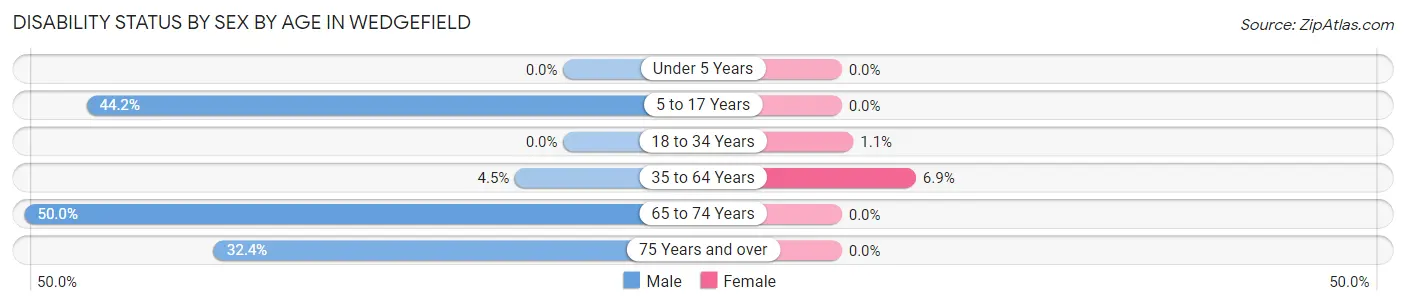Disability Status by Sex by Age in Wedgefield