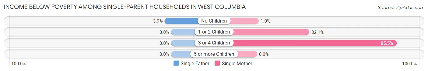 Income Below Poverty Among Single-Parent Households in West Columbia