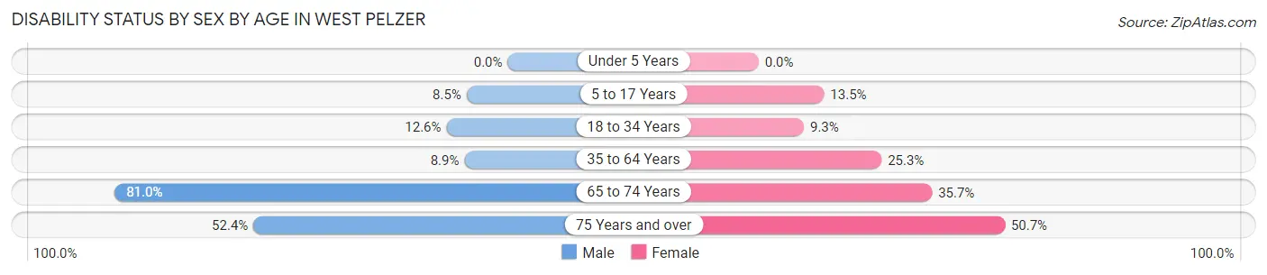 Disability Status by Sex by Age in West Pelzer