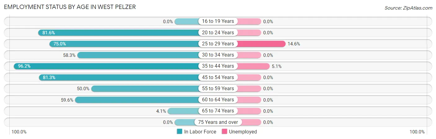 Employment Status by Age in West Pelzer