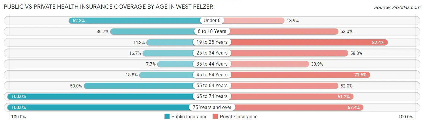 Public vs Private Health Insurance Coverage by Age in West Pelzer