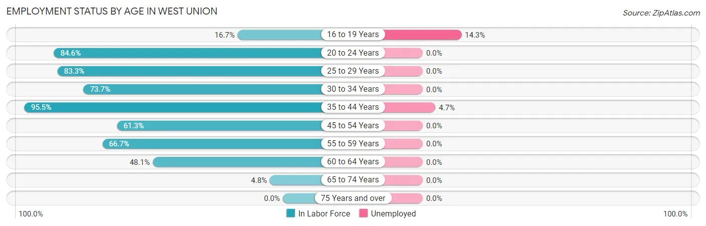 Employment Status by Age in West Union
