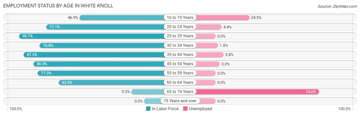 Employment Status by Age in White Knoll