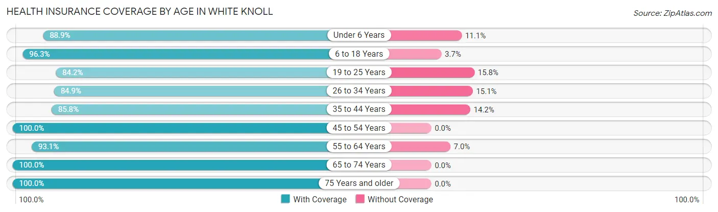 Health Insurance Coverage by Age in White Knoll