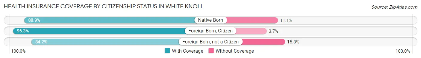 Health Insurance Coverage by Citizenship Status in White Knoll