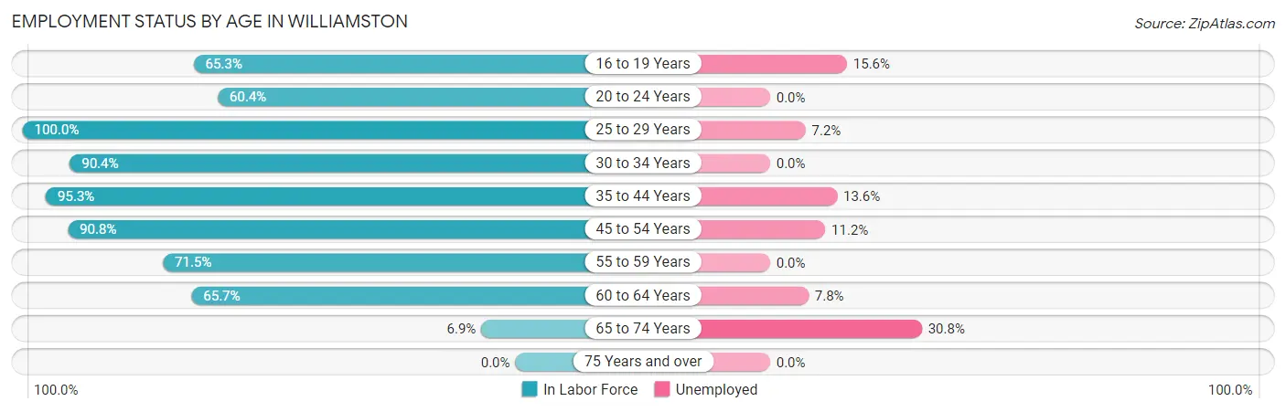 Employment Status by Age in Williamston