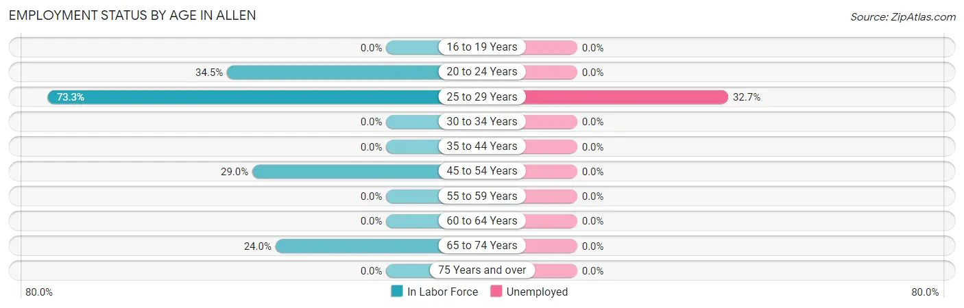 Employment Status by Age in Allen