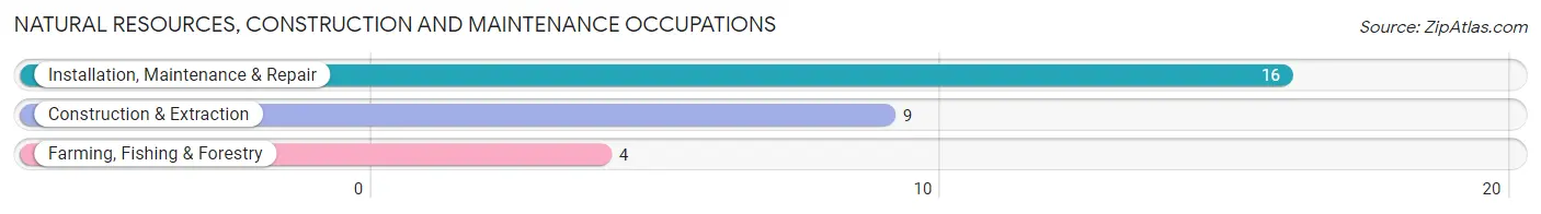 Natural Resources, Construction and Maintenance Occupations in Astoria