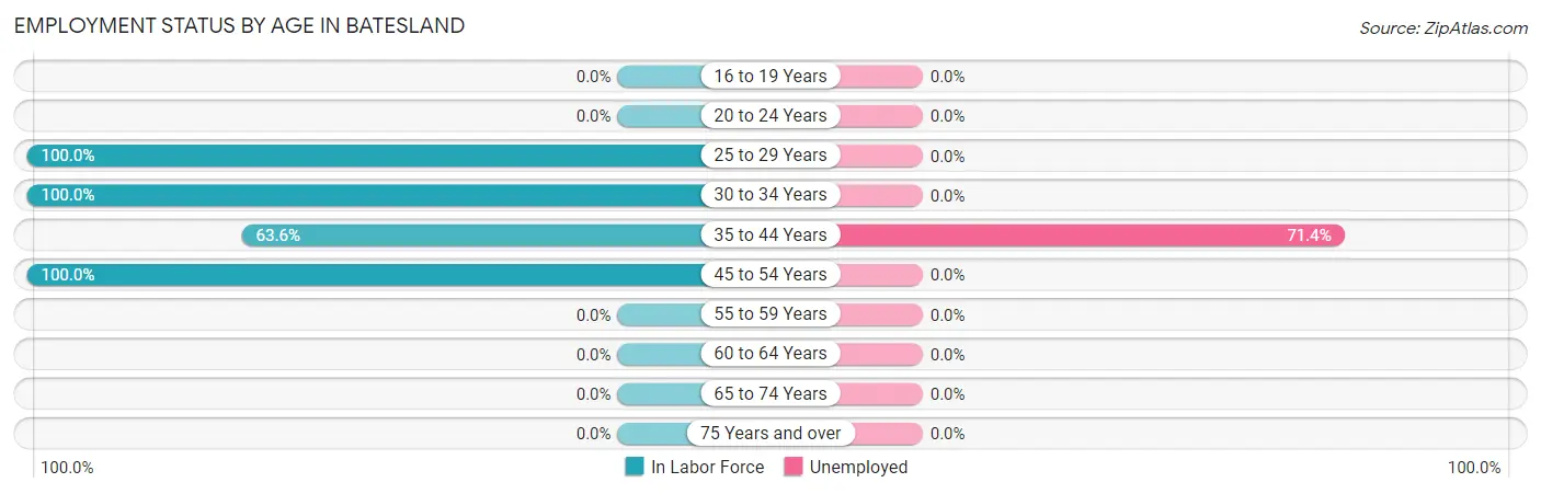 Employment Status by Age in Batesland