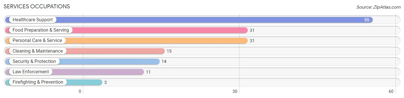 Services Occupations in Beresford