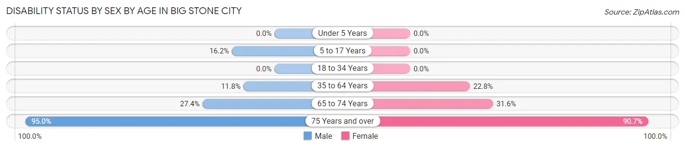 Disability Status by Sex by Age in Big Stone City