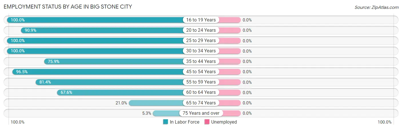Employment Status by Age in Big Stone City