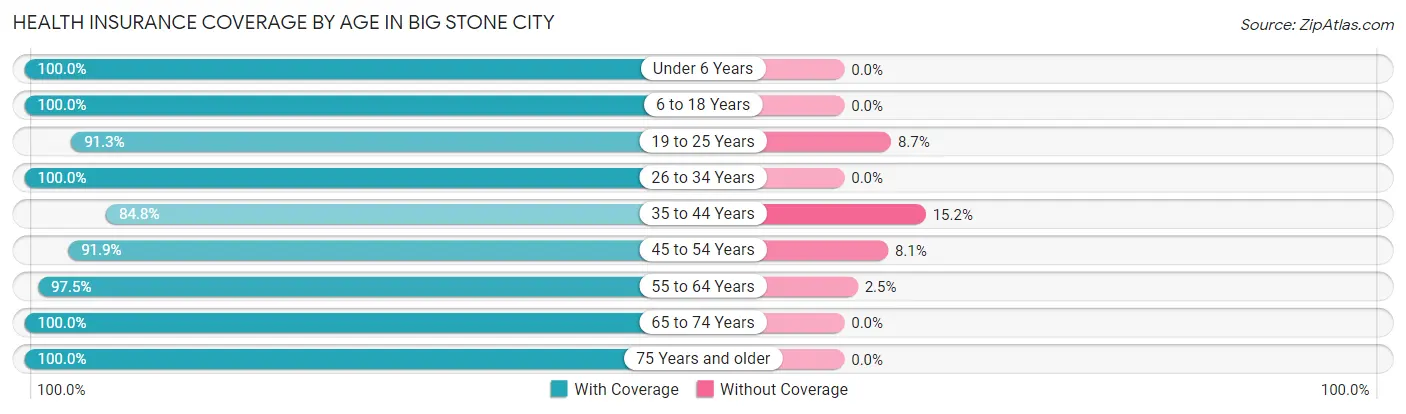 Health Insurance Coverage by Age in Big Stone City