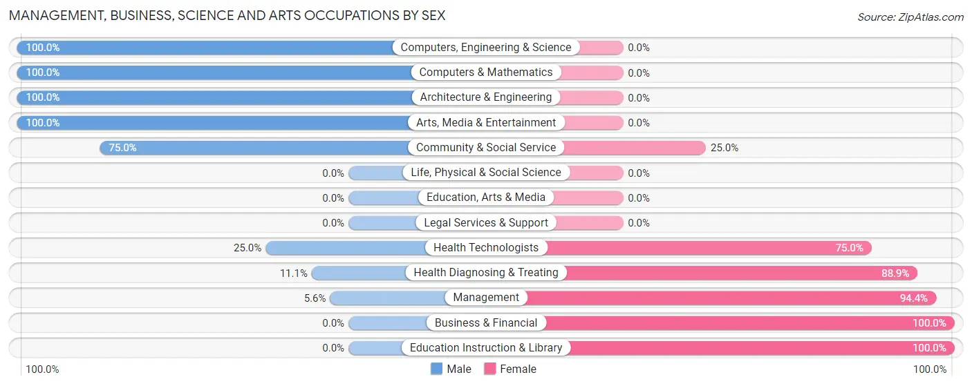 Management, Business, Science and Arts Occupations by Sex in Big Stone City