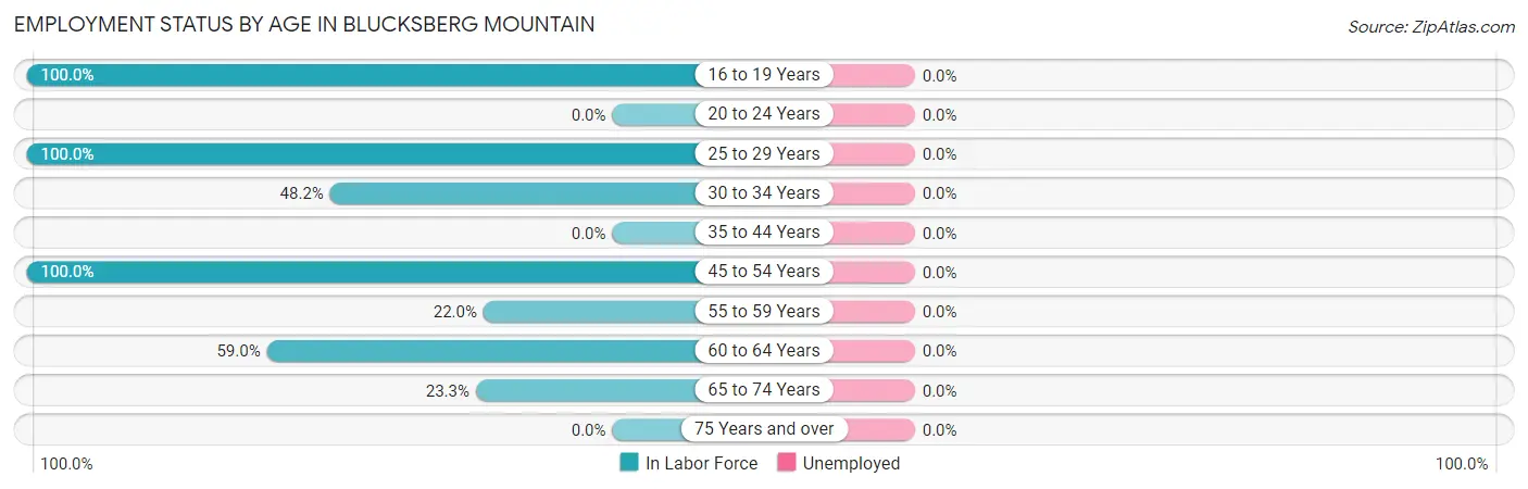 Employment Status by Age in Blucksberg Mountain