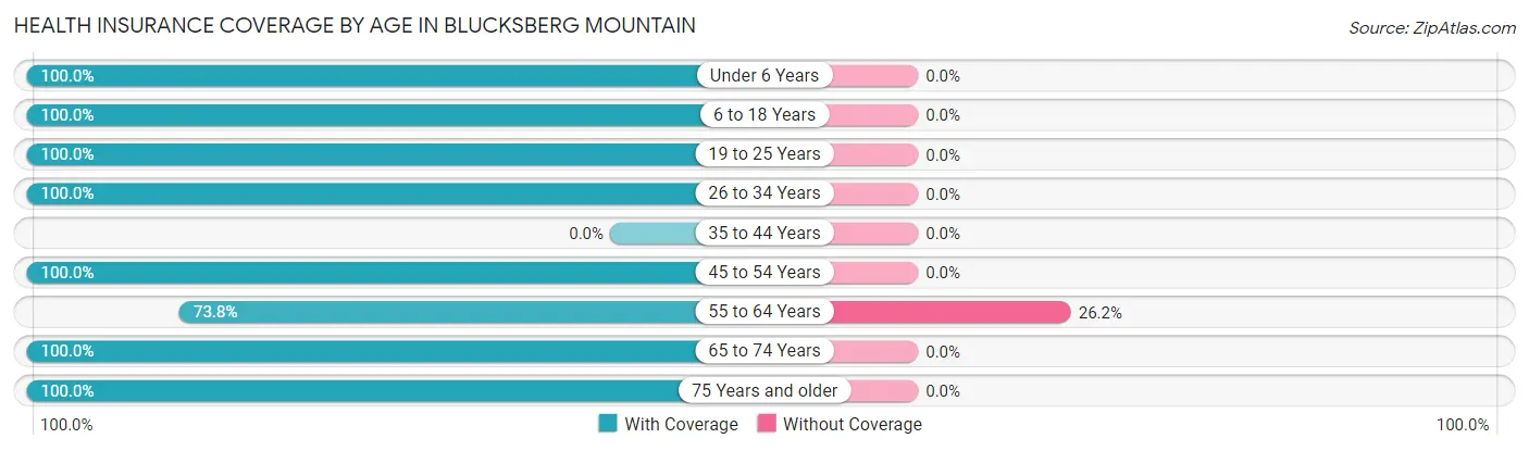 Health Insurance Coverage by Age in Blucksberg Mountain