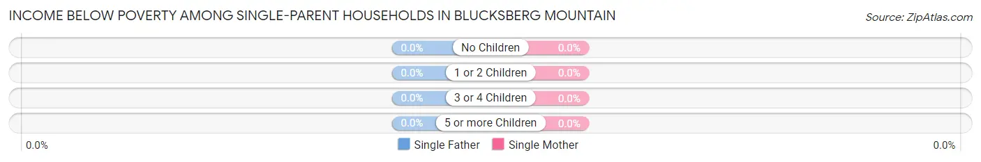 Income Below Poverty Among Single-Parent Households in Blucksberg Mountain