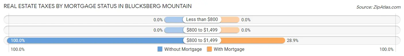 Real Estate Taxes by Mortgage Status in Blucksberg Mountain