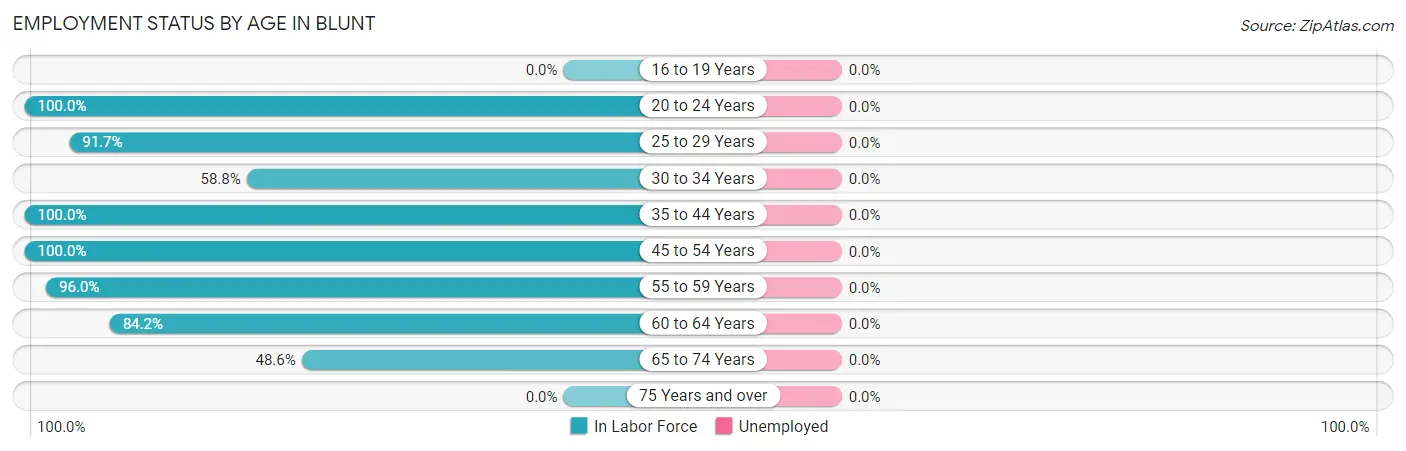 Employment Status by Age in Blunt