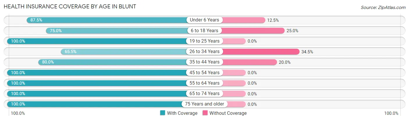 Health Insurance Coverage by Age in Blunt